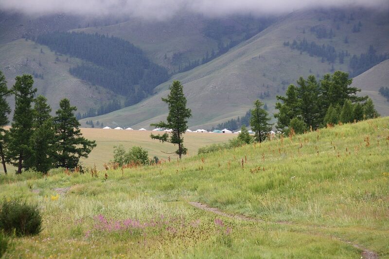 Blick zum Jalman Meadows Wilderness Camp, Mongolei