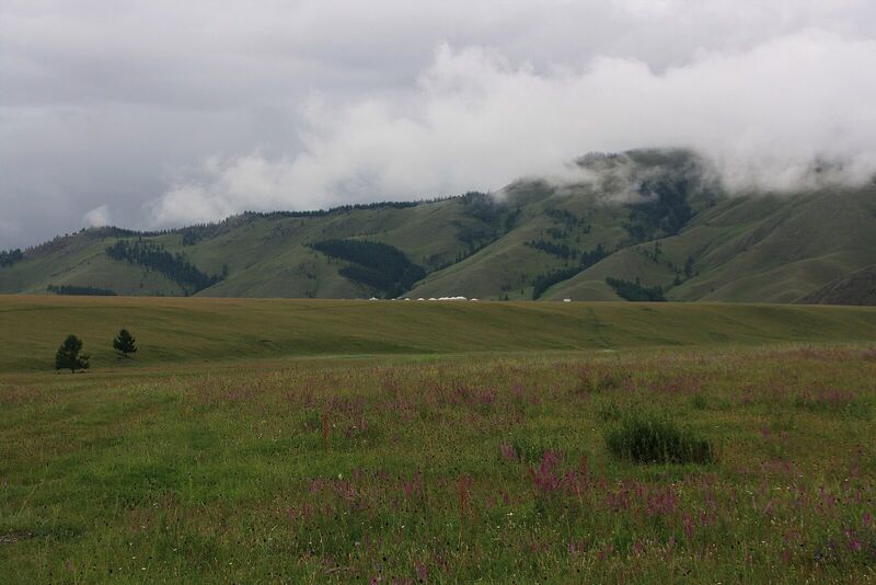 Blick auf das Jalman Meadows Wilderness Camp, Mongolei II